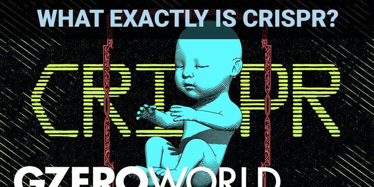 What is CRISPR? Gene editing pioneer Jennifer Doudna explains