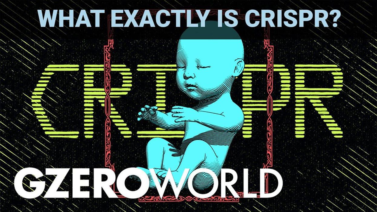 What is CRISPR? Gene editing pioneer Jennifer Doudna explains