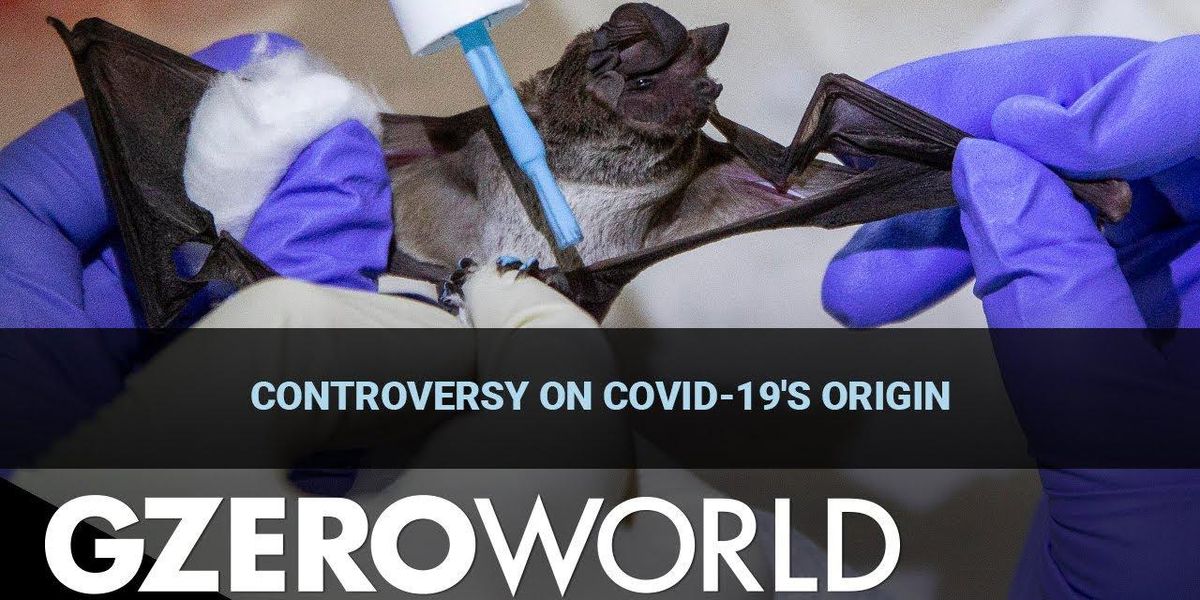 What is the real origin of the COVID-19 virus?