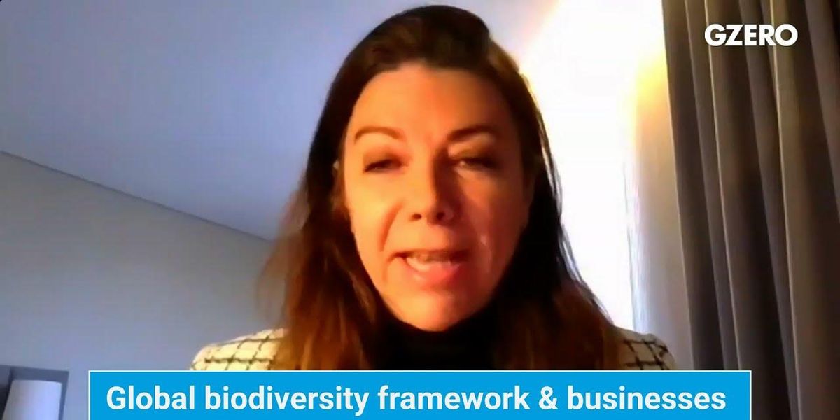 Reversing biodiversity loss by 2030: "We don't have a choice," says Magali Anderson