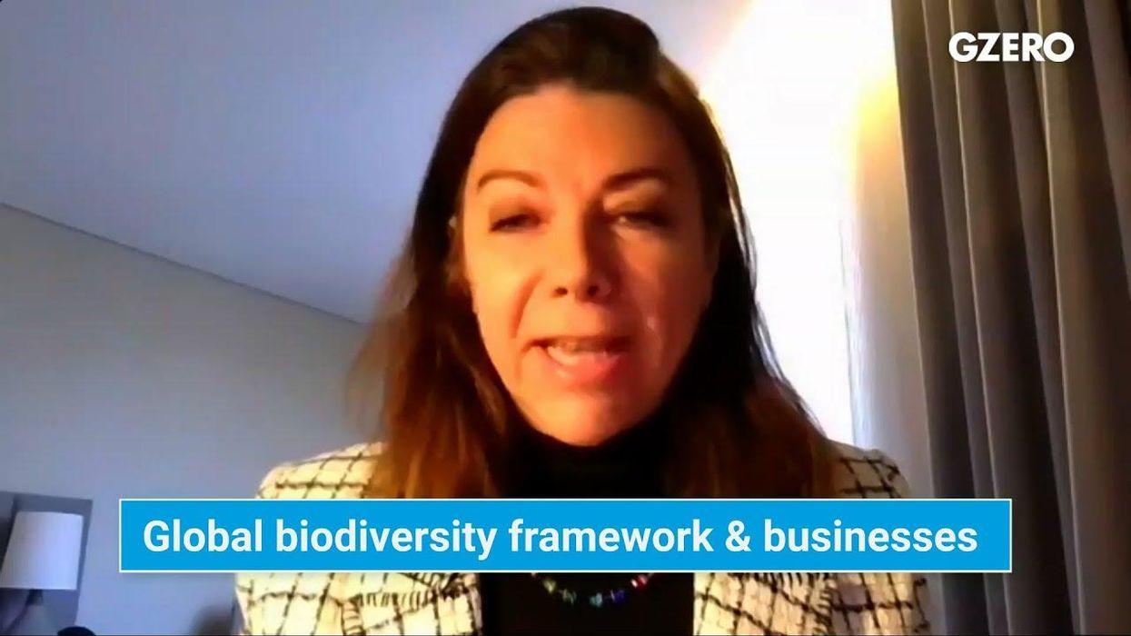 Reversing biodiversity loss by 2030: "We don't have a choice," says Magali Anderson