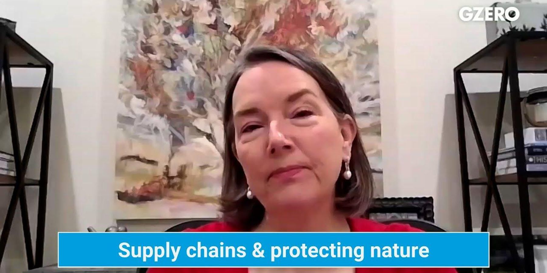 Practical climate solutions and big corporations