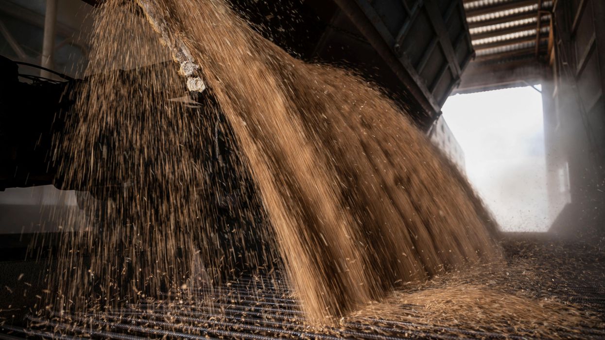 What We’re Watching: A grain of truth & a win for Biden