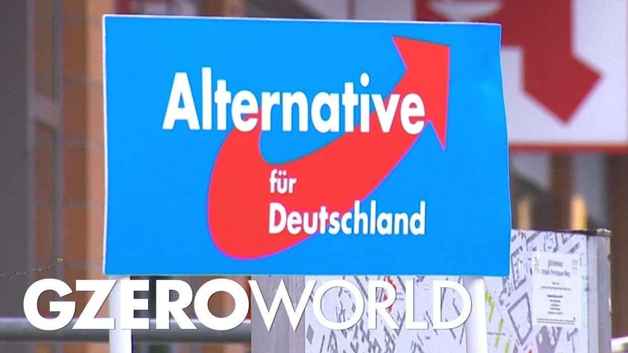 Where Did the Alternative for Germany Party Come From?