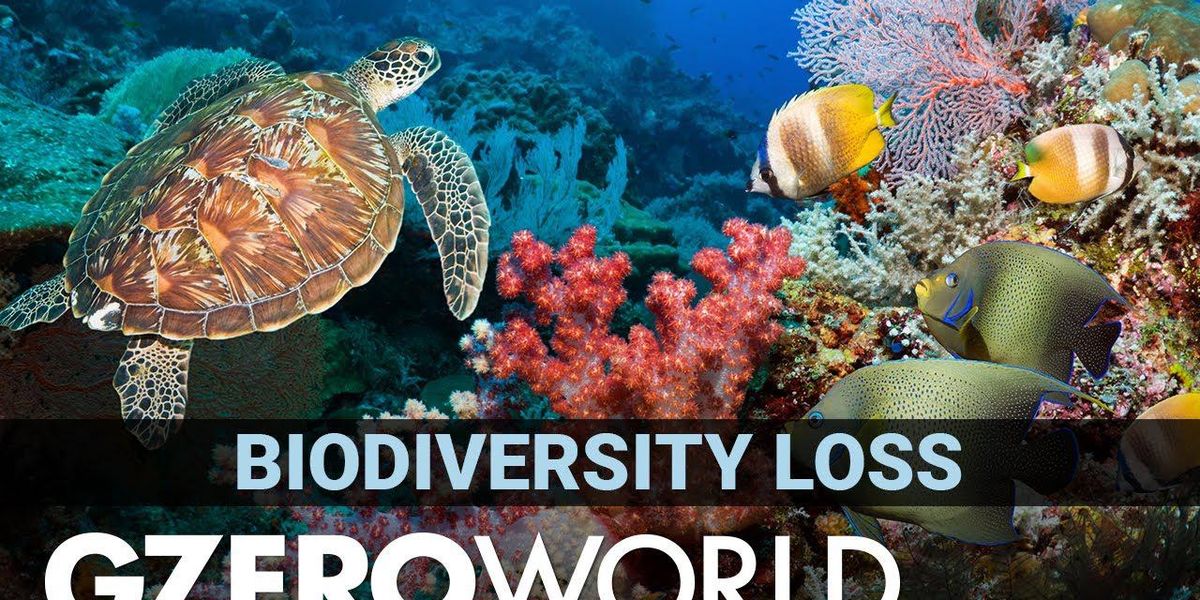 Why biodiversity loss from climate change matters