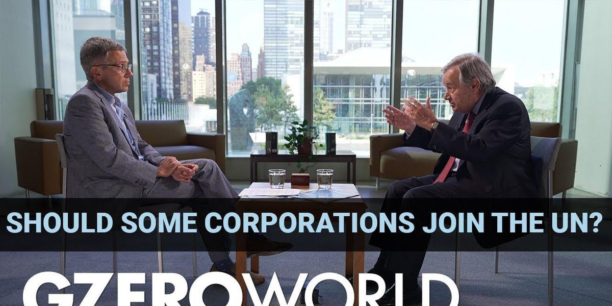 Why should the UN listen to the private sector?