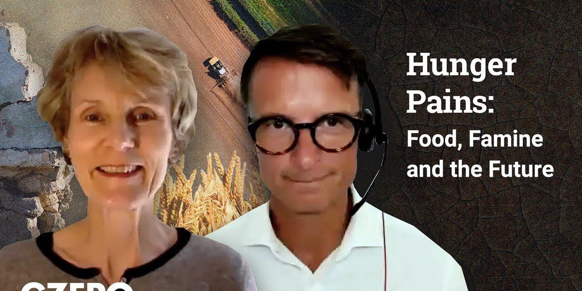 Why we're in the current food crisis — and who could fix it