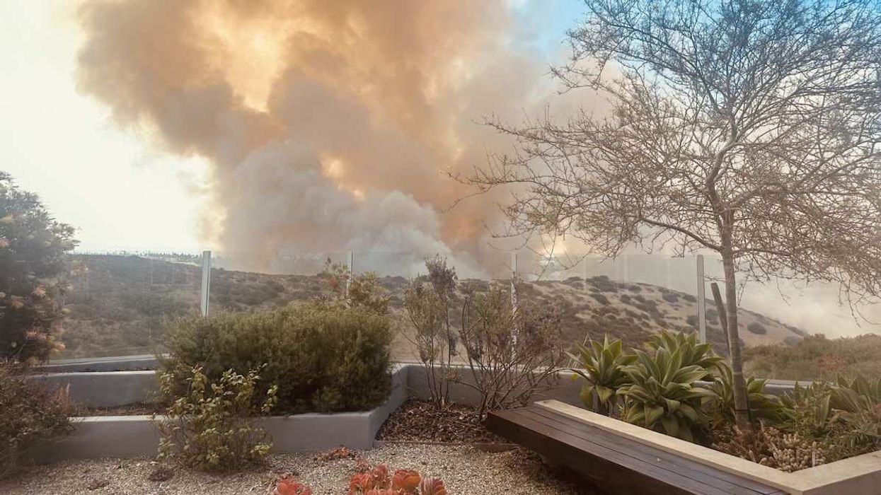 The First Five Minutes: Using AI to detect wildfires
