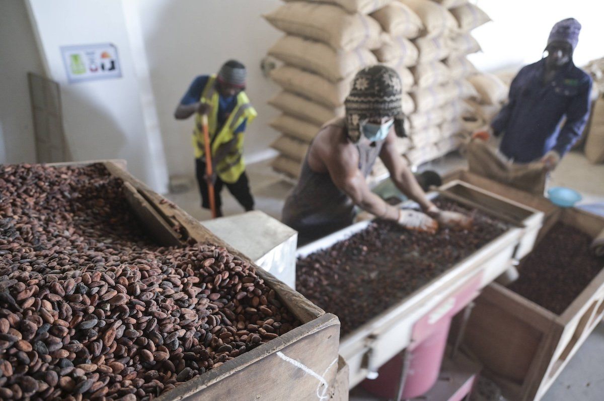 Hard Numbers: Cocoa prices get hot, Looters find Assad’s garage, Tokyo cuts the workweek short, New York jury acquits in high-profile manslaughter case, Mangione faces murder charge