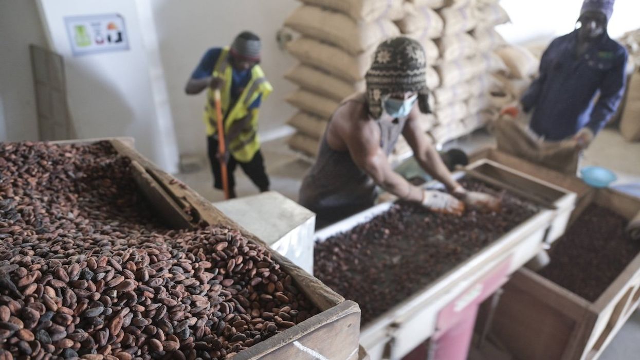 Hard Numbers: Cocoa prices get hot, Looters find Assad’s garage, Tokyo cuts the workweek short, New York jury acquits in high-profile manslaughter case, Mangione faces murder charge