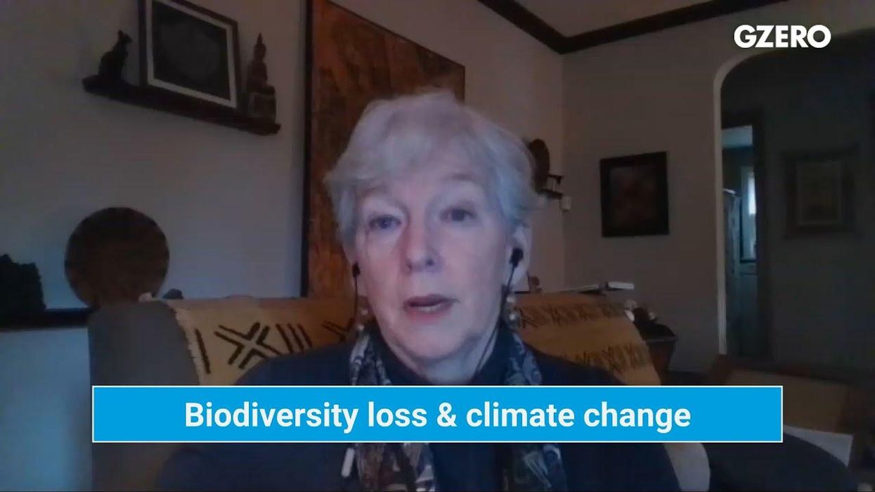 We can't fix climate change without protecting biodiversity, says UNFCCC official