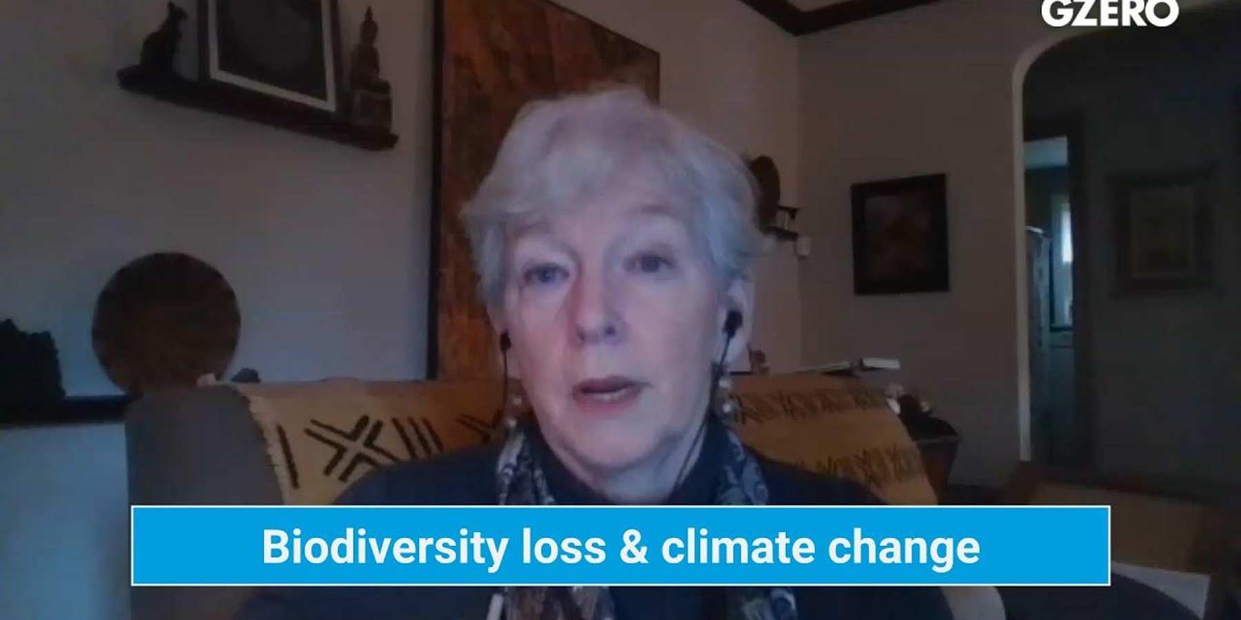 We can't fix climate change without protecting biodiversity, says UNFCCC official