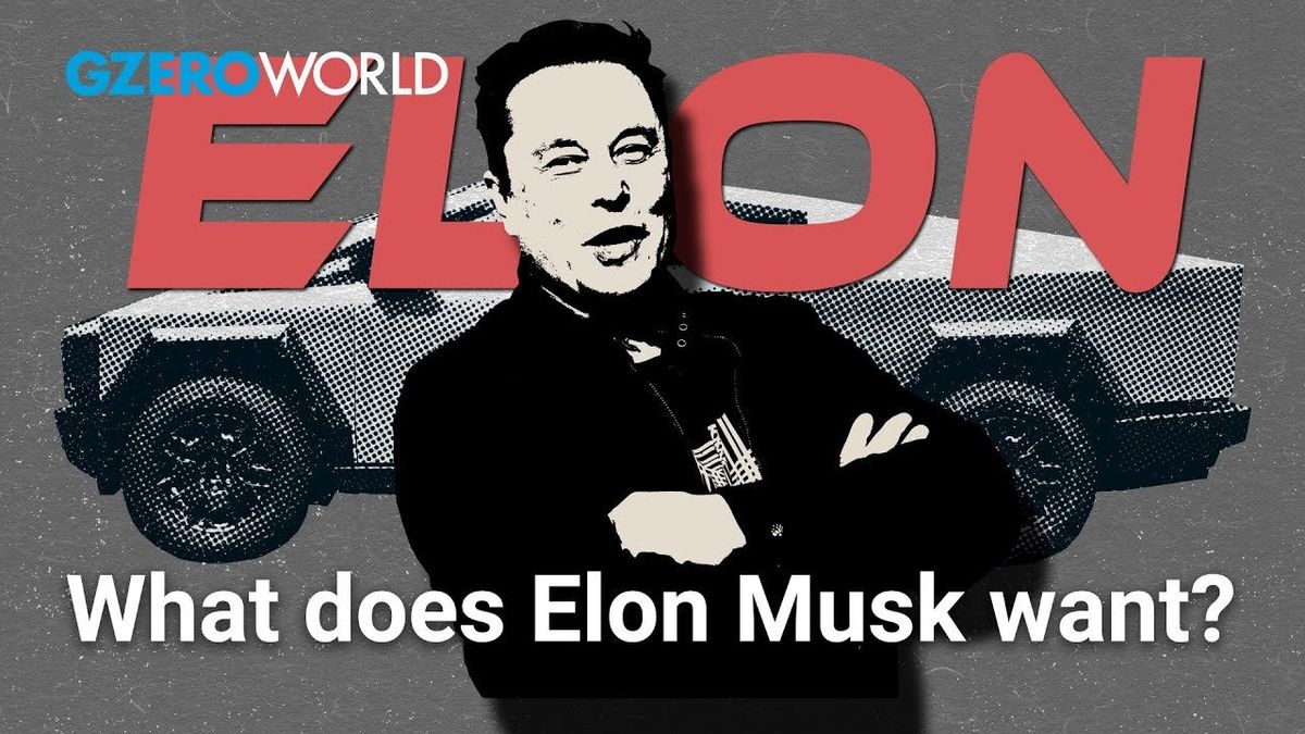 What are Elon Musk's real goals with DOGE?