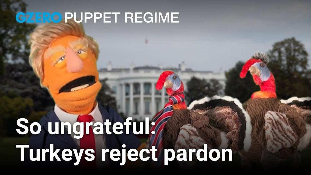 Turkeys reject Trump's pardon