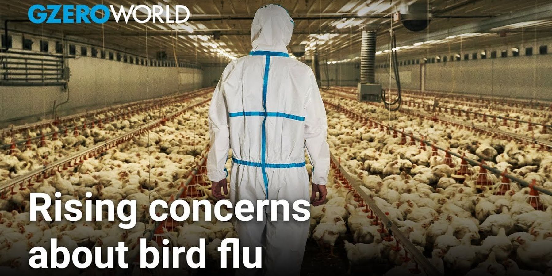 Should we worry about bird flu in the US?