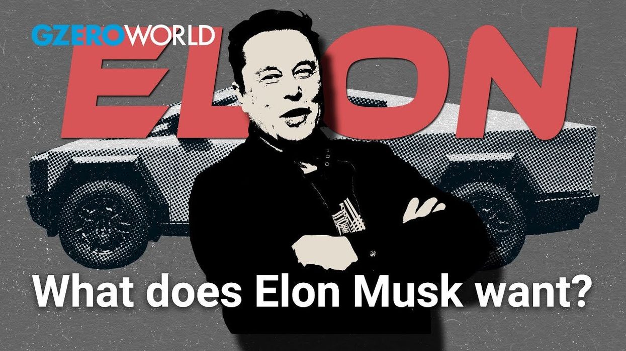 What are Elon Musk's real goals with DOGE?