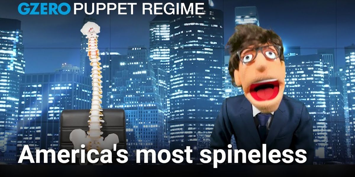 Finding America's most spineless