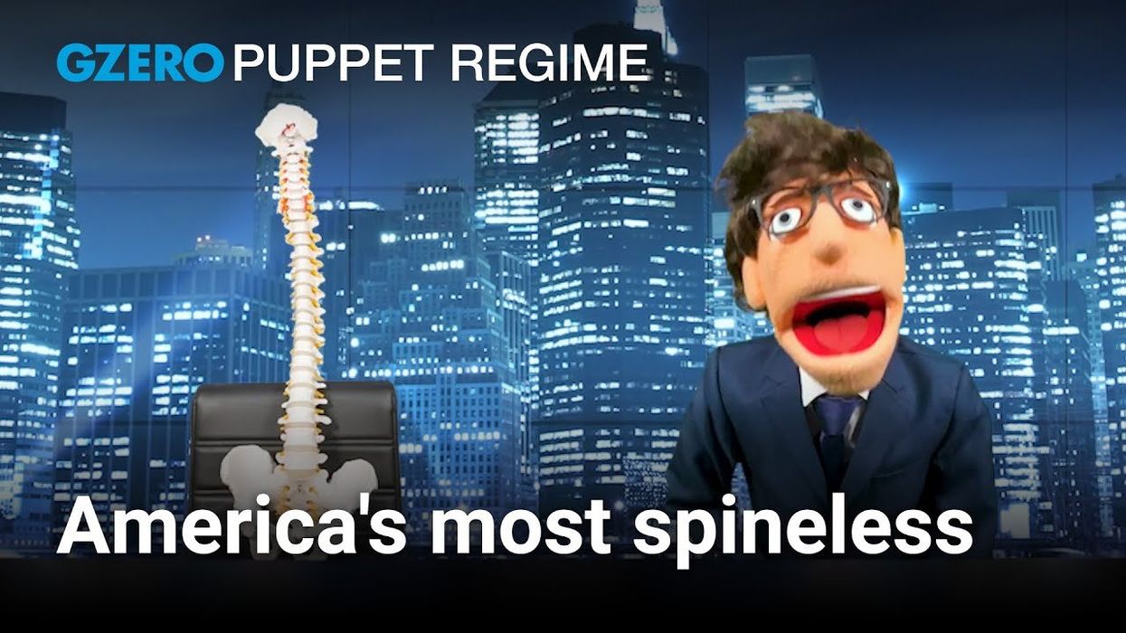 Finding America's most spineless