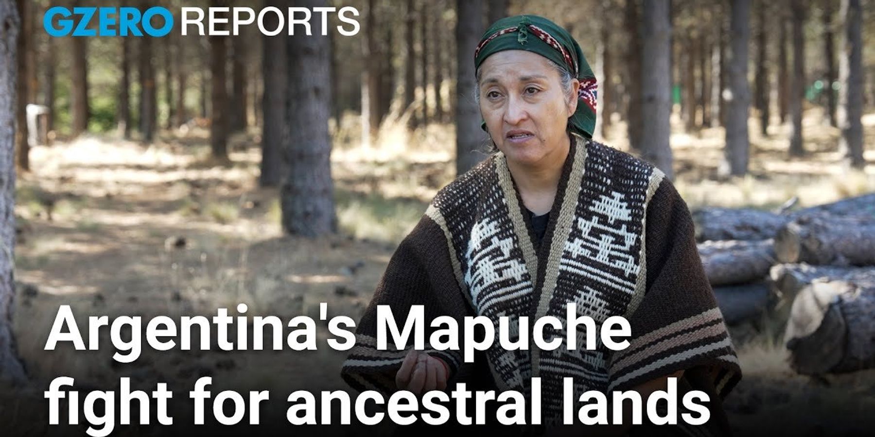 In Milei's Argentina, a fight for indigenous land