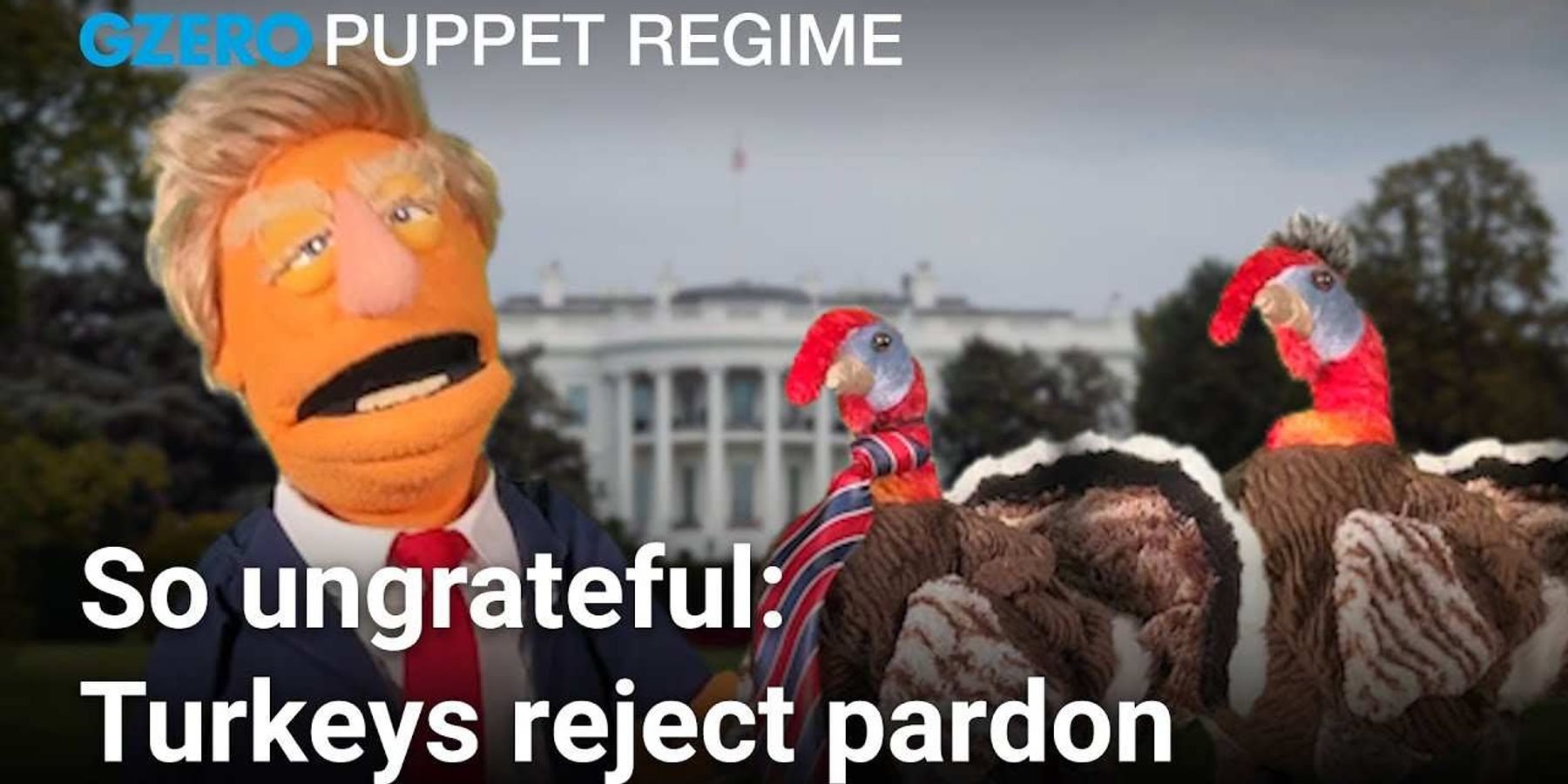 Turkeys reject Trump's pardon