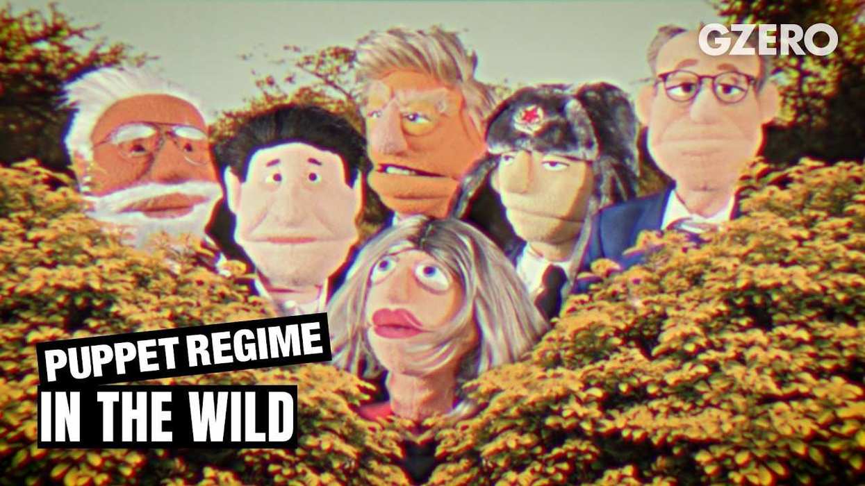 The Regime in the Wild, for Sir David Attenborough