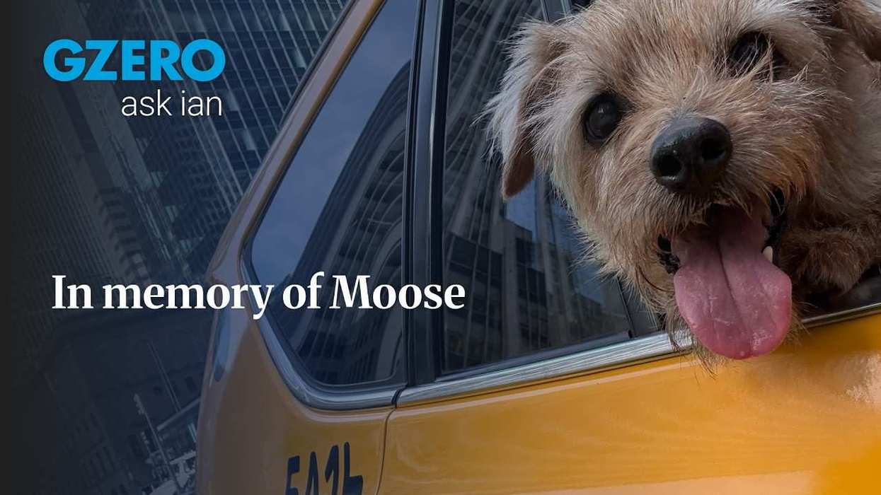 In memory of Moose